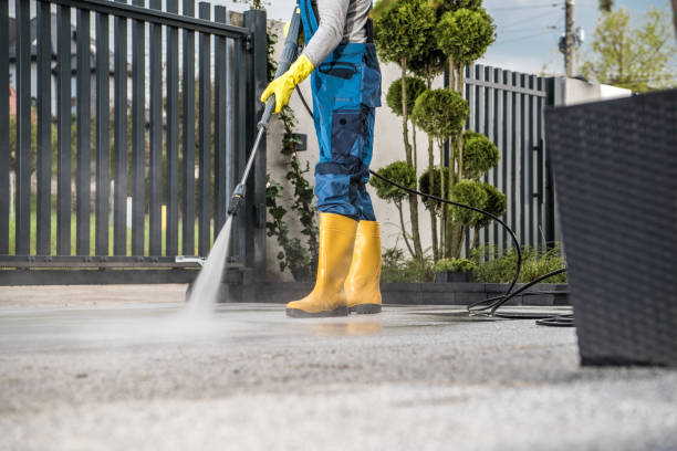 Best Driveway Pressure Washing  in Clifton Heights, PA